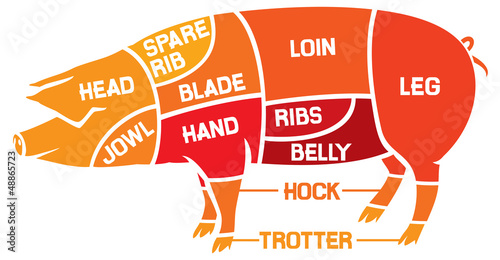 Fototapeta cuts of pork - meat diagrams