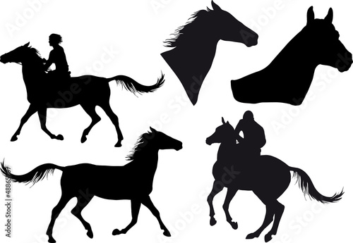 five silhouettes of horses, horse heads and riders