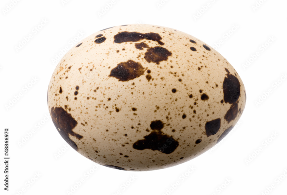 Quail eggs Quail eggs