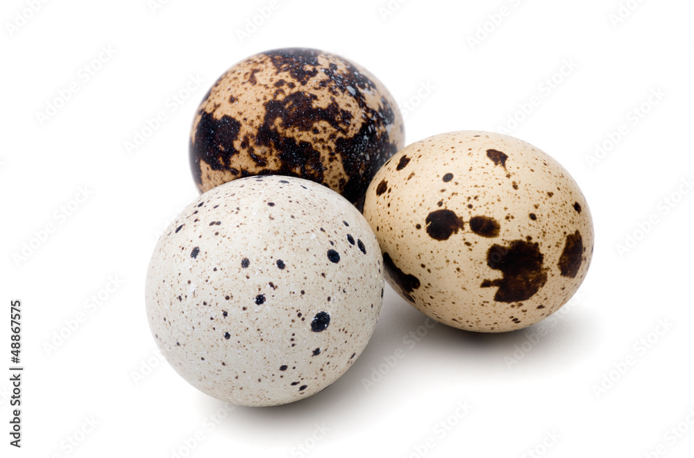Quail eggs Quail eggs