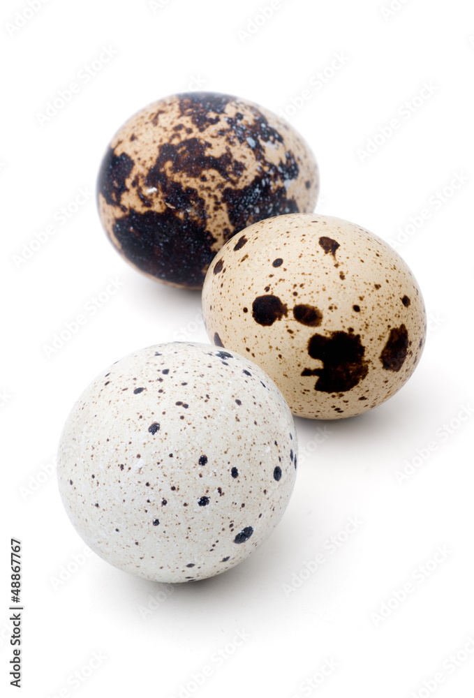 Quail eggs Quail eggs