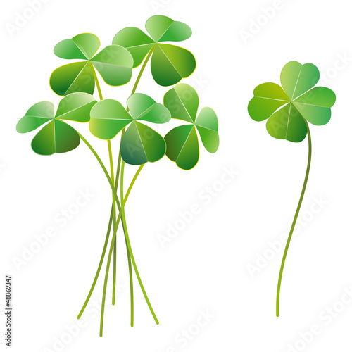 Shamrock and four leaf clover