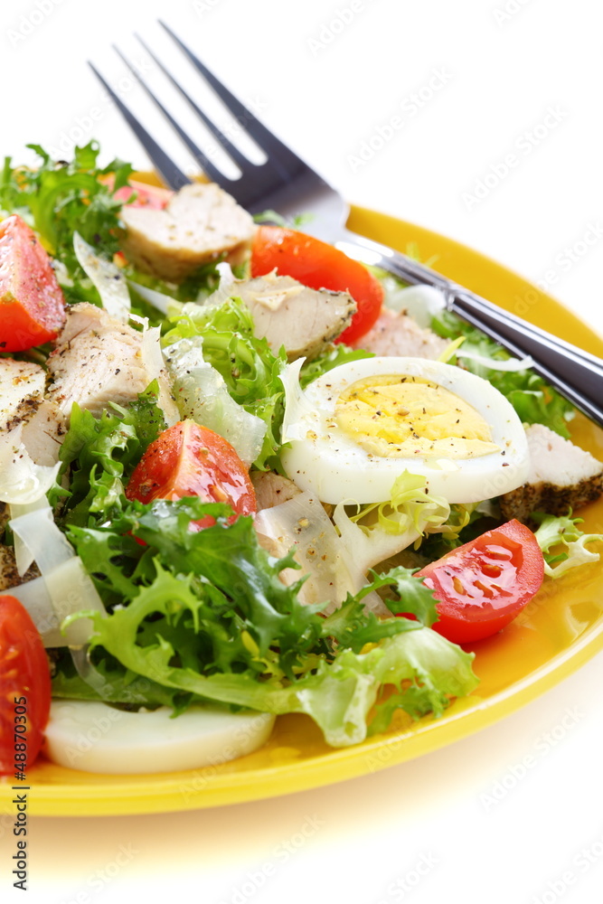 Salad with tomatoes, chicken and Parmesan cheese. Salad with tomatoes, chicken and Parmesan cheese.