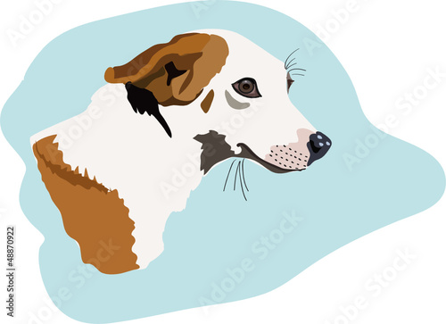 Hund