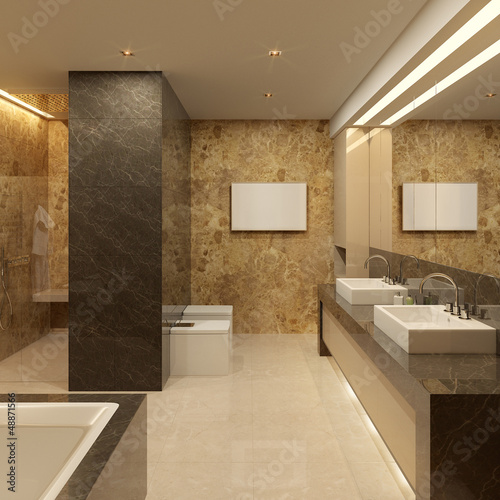 luxury bathroom. Modern style