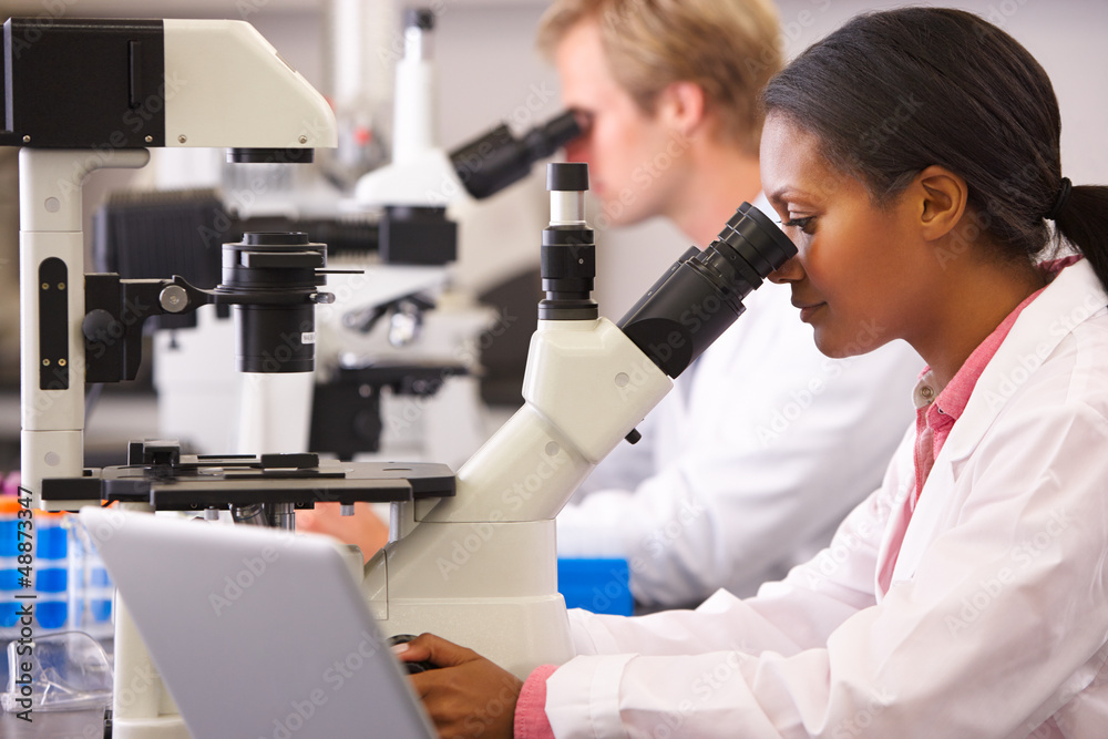 Male And Female Scientists Using Microscopes In Laboratory Male And Female Scientists Using Microscopes In Laboratory