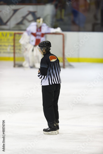 referee in a hockey game