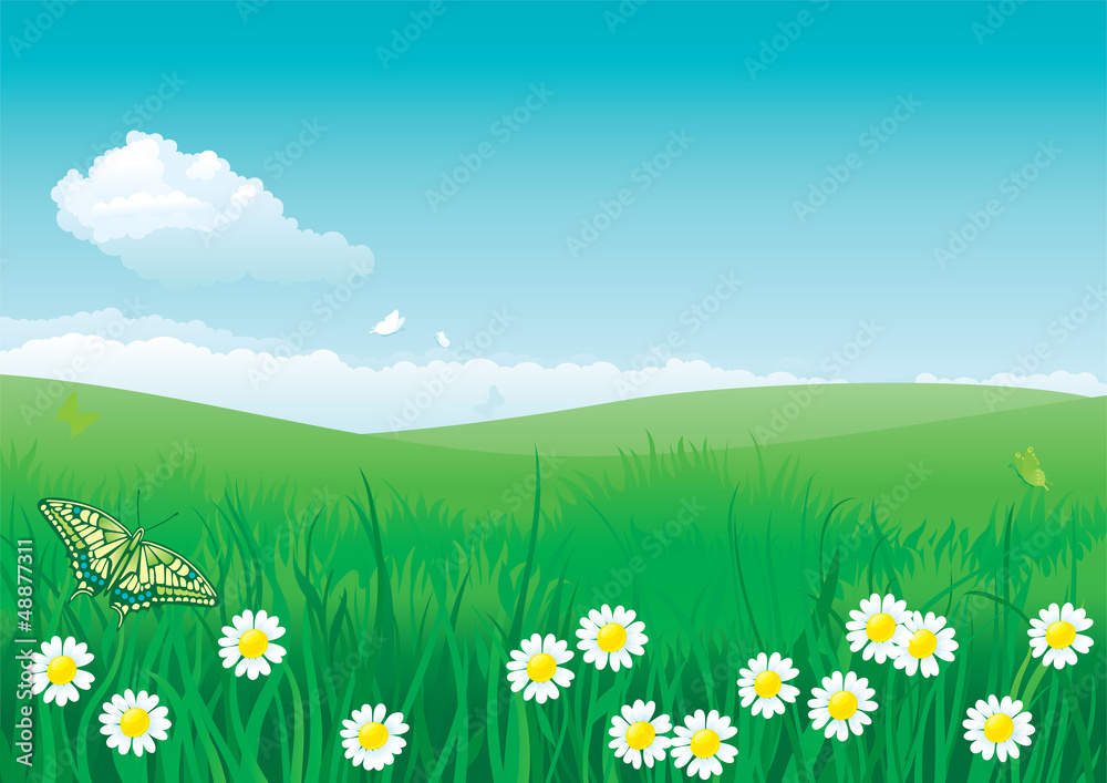 landscape with butterfly, flowers and green grass landscape with butterfly, flowers and green grass