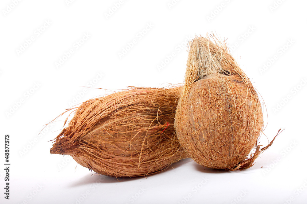 coconut coconut
