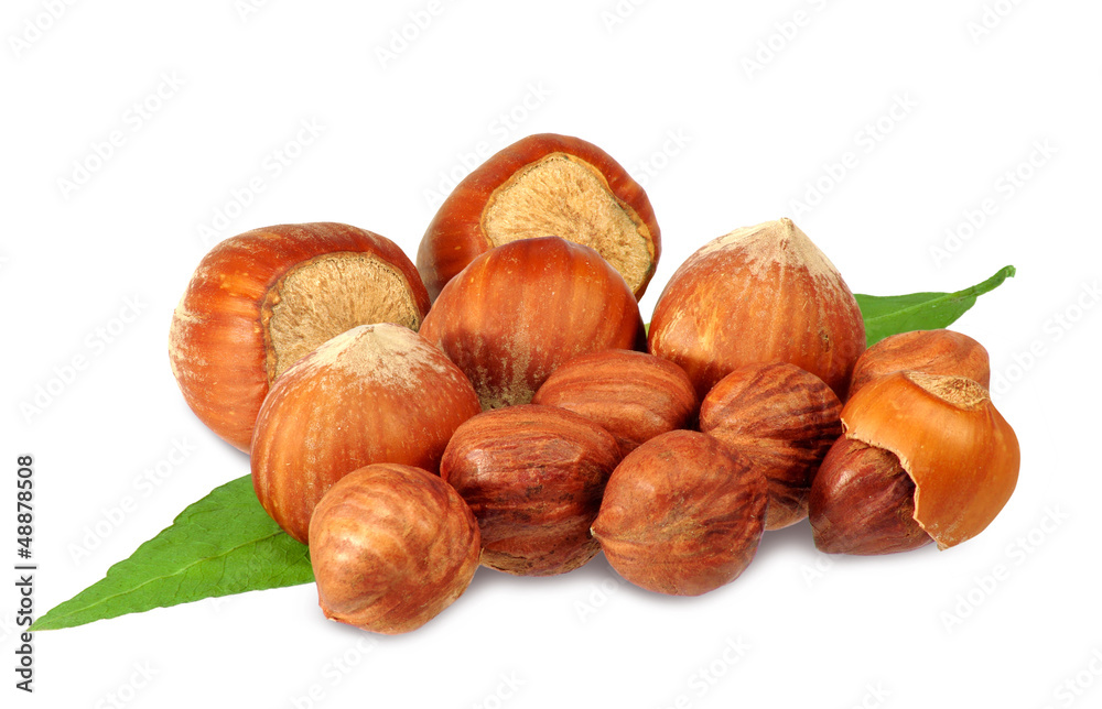 hazelnuts hazelnuts