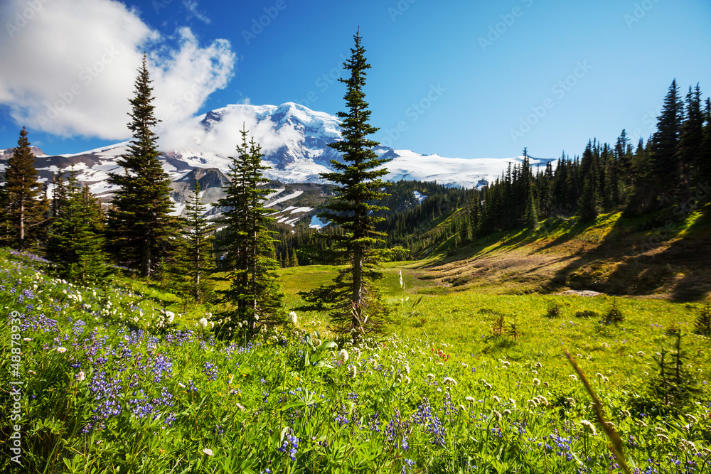 Mt.Rainier Mt.Rainier