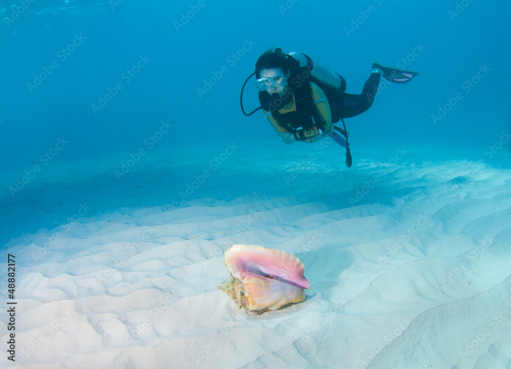 Diver and Conch shell