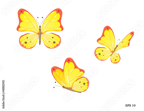 Butterfly in three body positions
