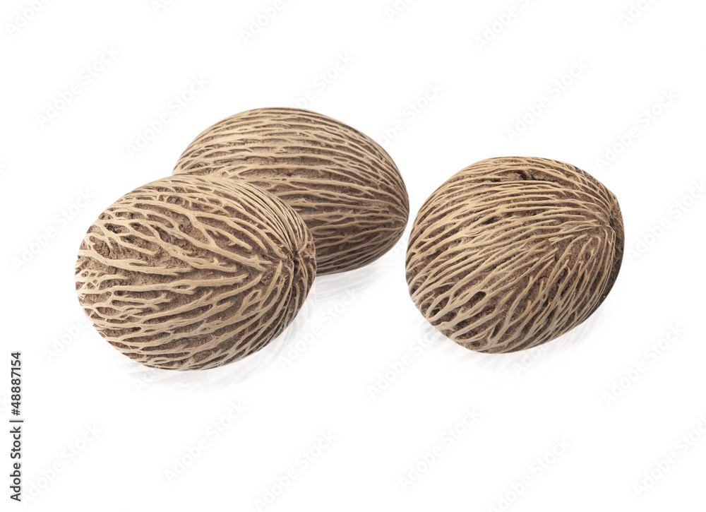 Cerbera suicide's seed or Pong Pong seed isolated on white Cerbera suicide's seed or Pong Pong seed isolated on white