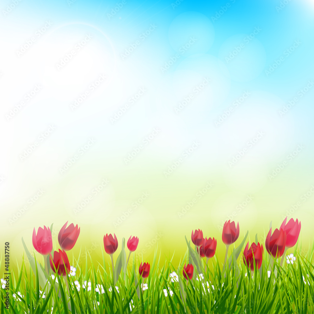 Spring background with tulips - obrazy, fototapety, plakaty 