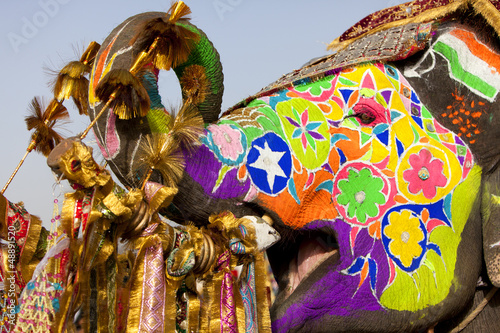 Decorated elephant at the elephant festival in Jaipur. photo