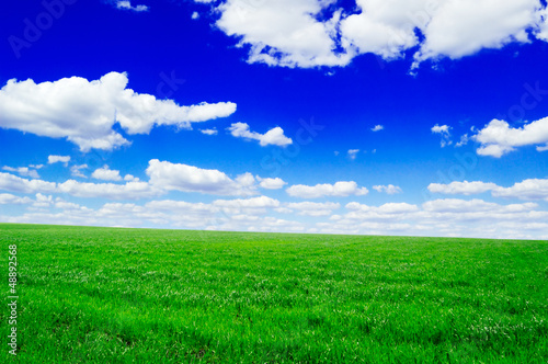 fields and sky