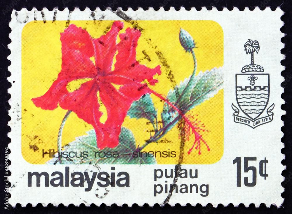 Naklejka premium Postage stamp Malaysia 1986 Rose Mallow, Hibiscus