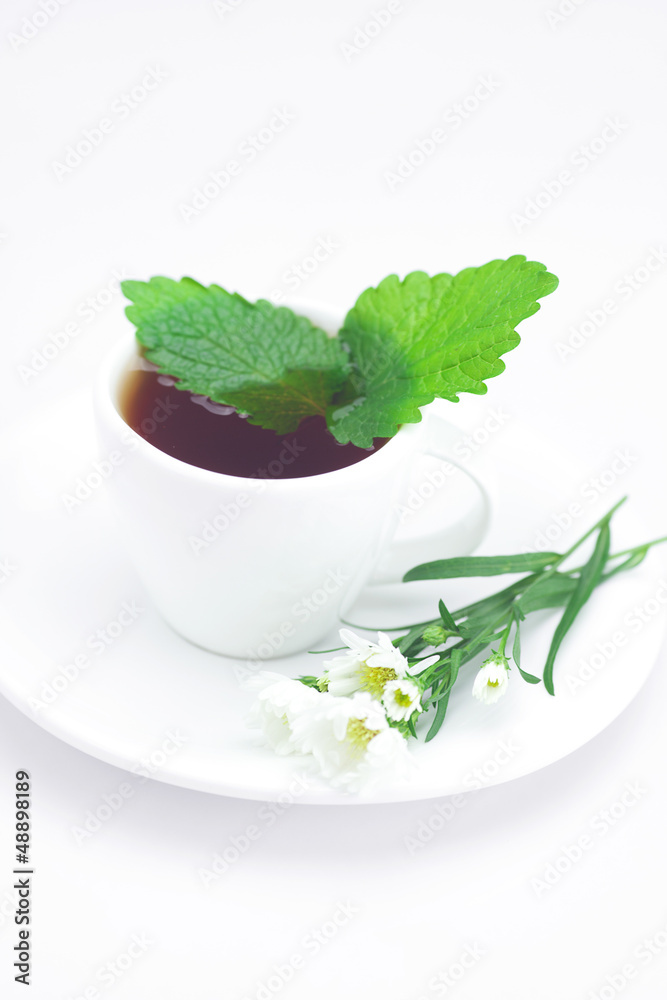 cup of tea,mint and chamomile isolated on white cup of tea,mint and chamomile isolated on white