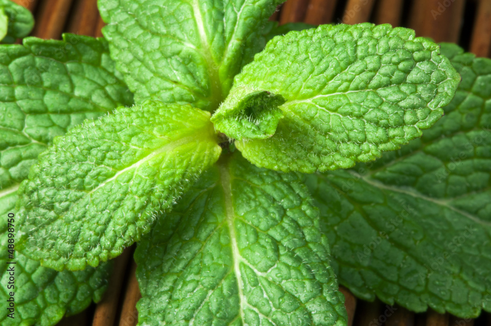 Mint leaves on wooden base Mint leaves on wooden base