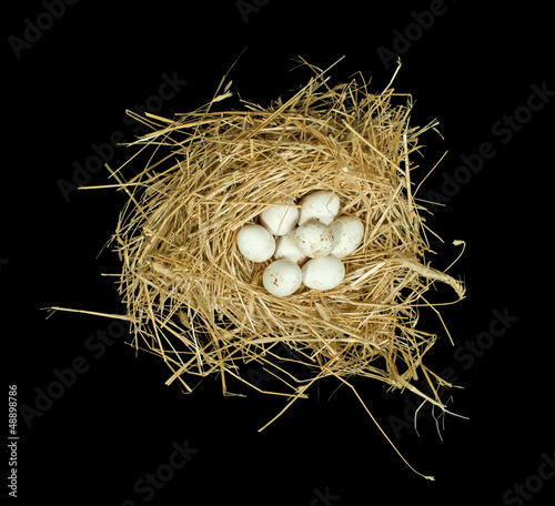 Organic white eggs in straw nest