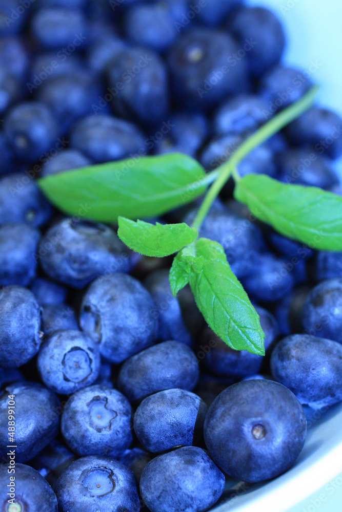 Obraz premium Ripe blueberries in the blue bowl
