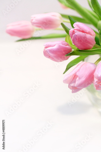 Wallpaper Mural Beautiful pink tulips in the vase Torontodigital.ca
