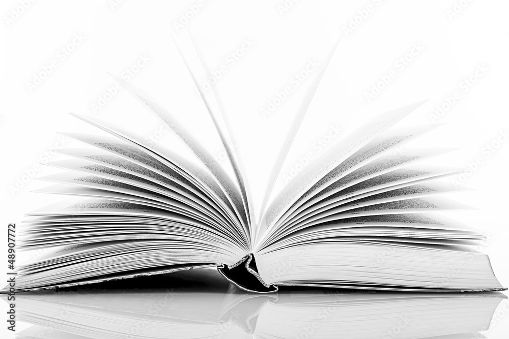 Fototapeta premium ein Buch