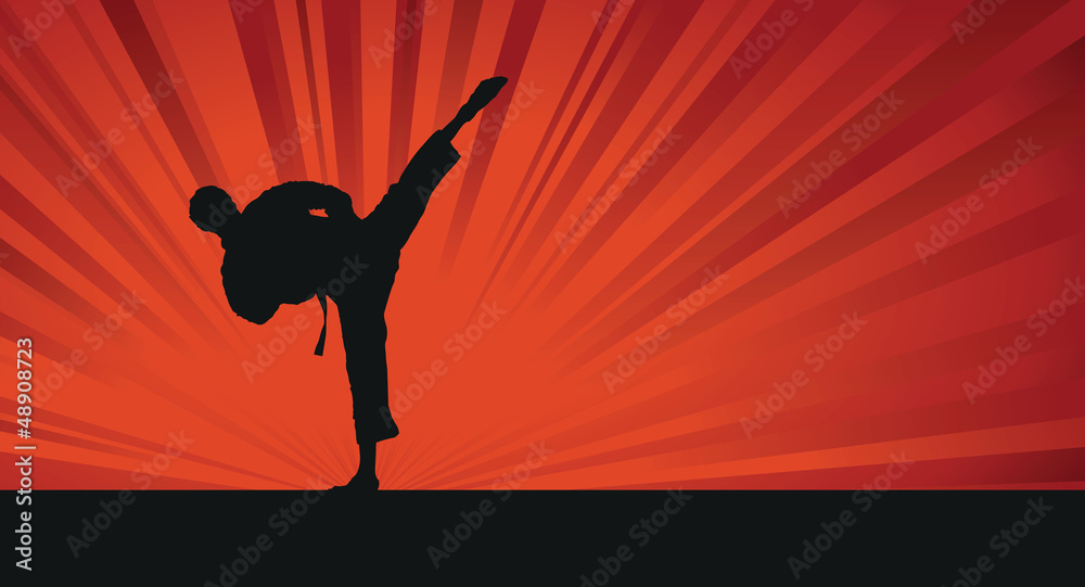 karate silhouette background