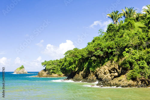 Western coast of Tobago © Richard Semik