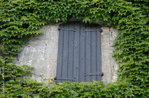 French Shutters