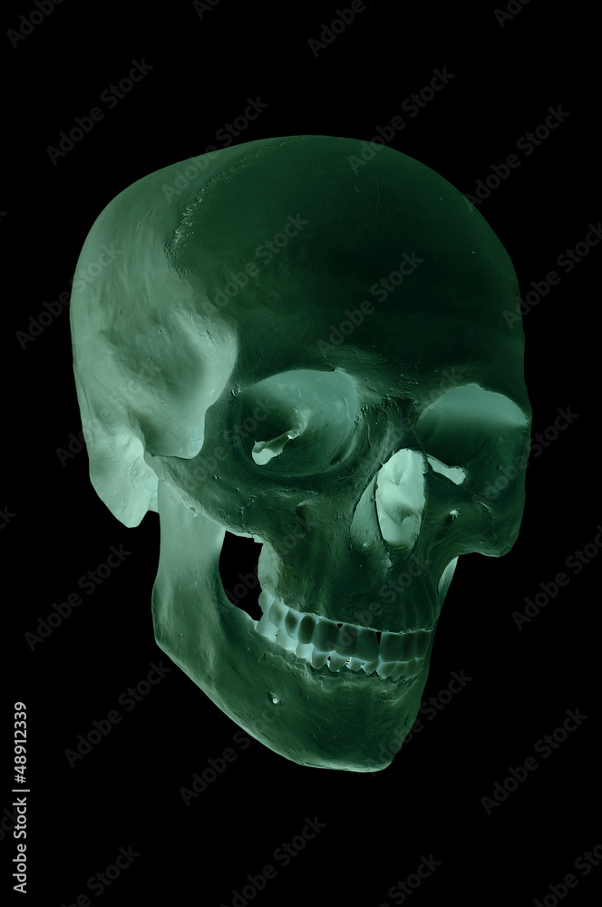 Obraz premium spooky green skull