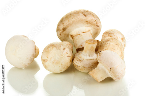 Fresh mushrooms isolated on white