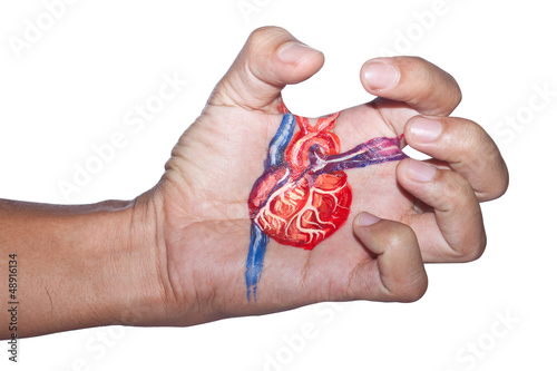 Heart painting on the flexing hand