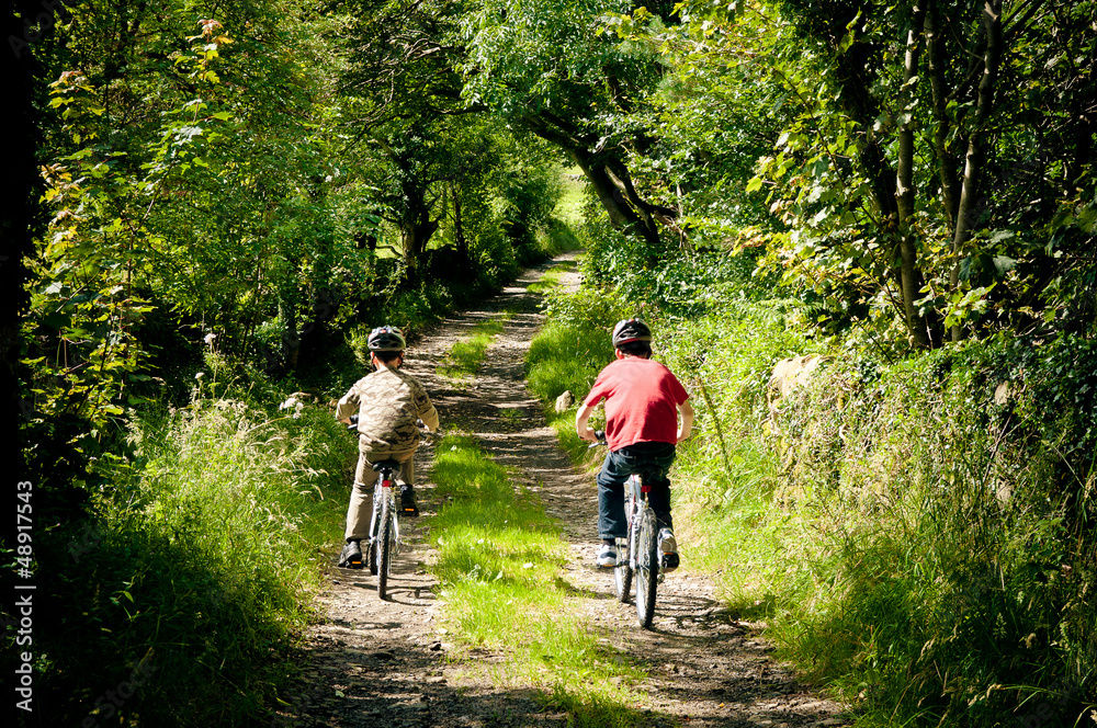 Obraz premium Country Lane