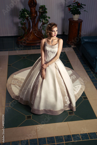 Beautiful bride in a luxury wedding dress
