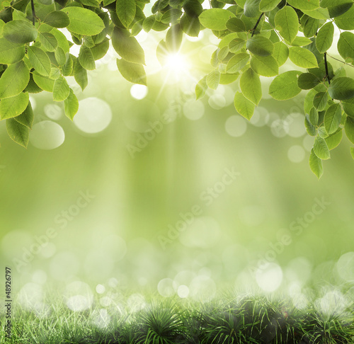 Spring abstract background