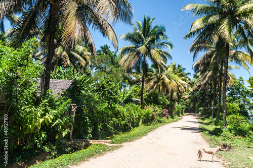 Tropical village © Pierre-Yves Babelon