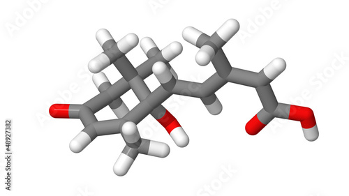 Plant hormone - Abscisic acid - ABA - sticks