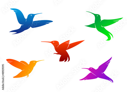 Flying hummingbirds