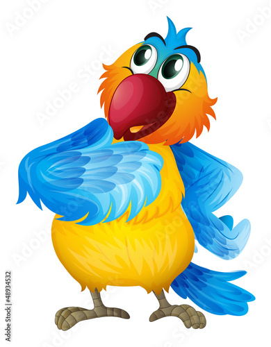 A parrot wondering