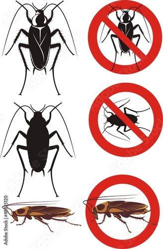 cockroach - warning signs