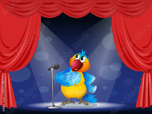 A parrot in the limelight