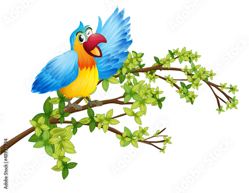 A parrot on a branch of a tree