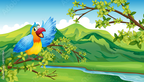 A bird on a branch of a tree