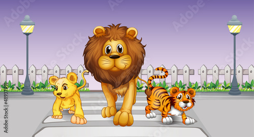 Fototapeta Naklejka Na Ścianę i Meble -  Wild animals in the street
