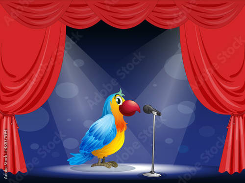 A parrot at the center of the stage