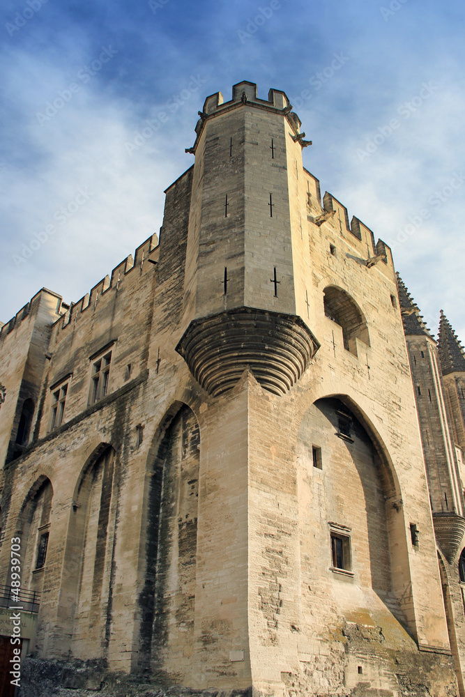 The Popes' Palace in Avignon, France The Popes' Palace in Avignon, France
