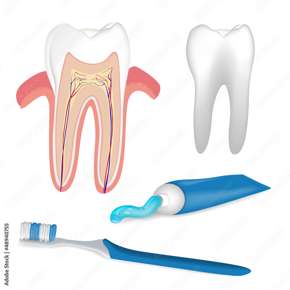 Vector Illustration of Dental Care Elements Vector Illustration of Dental Care Elements