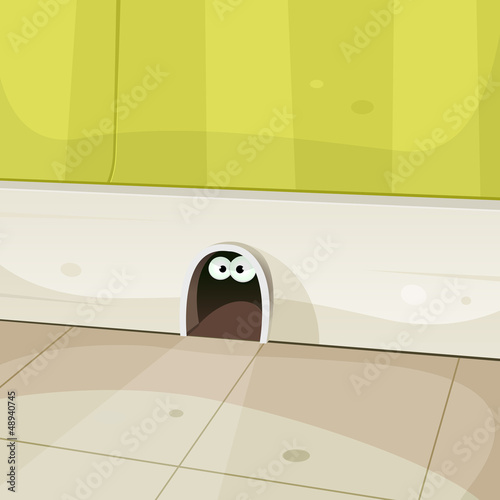 Mouse Home Inside Walls